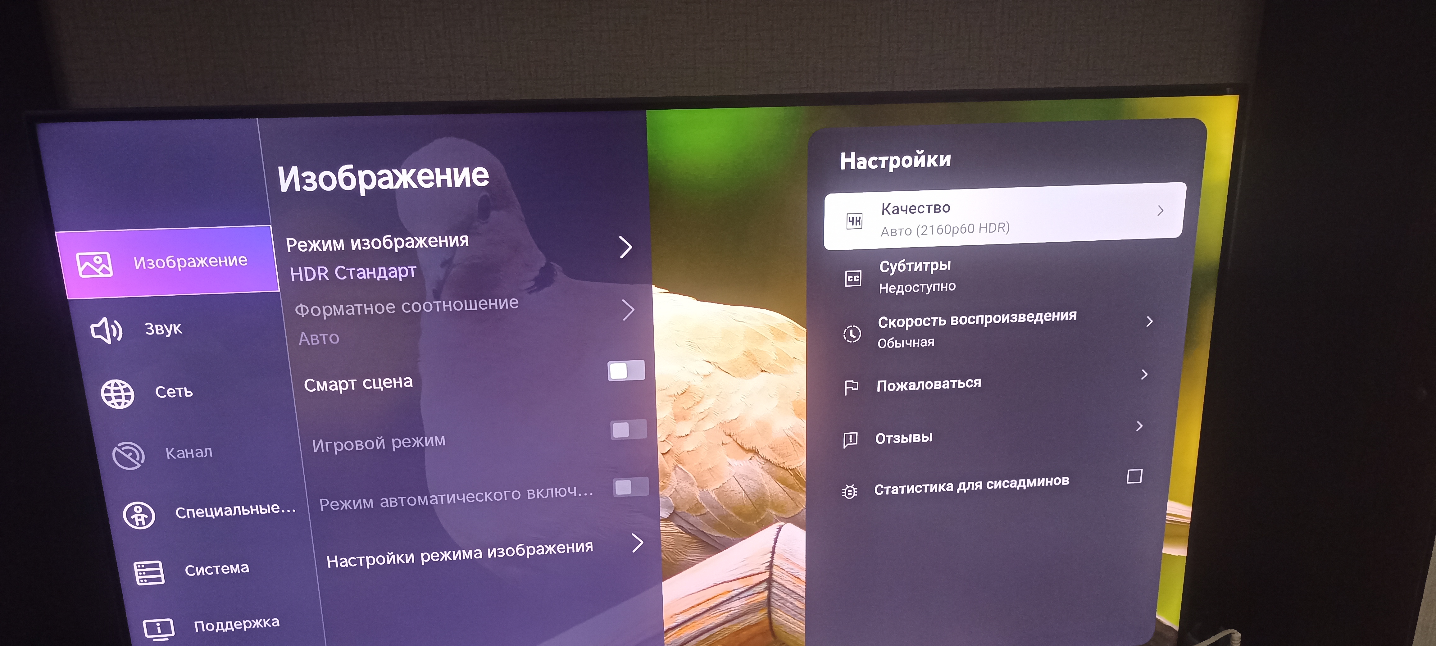 Один от телевизора на прямую