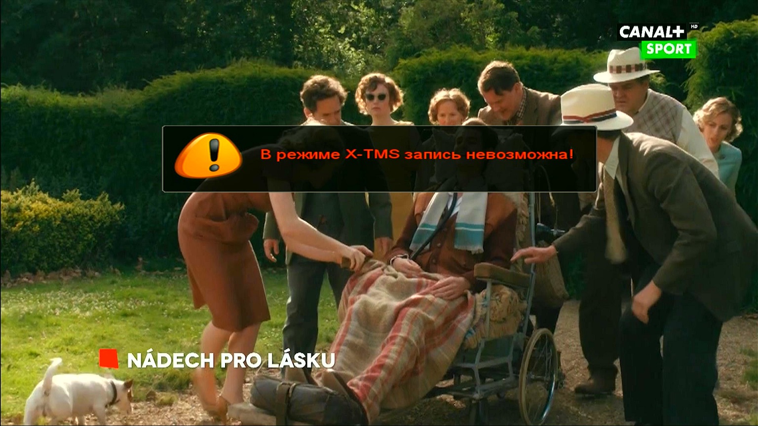X_TMS-1.jpg