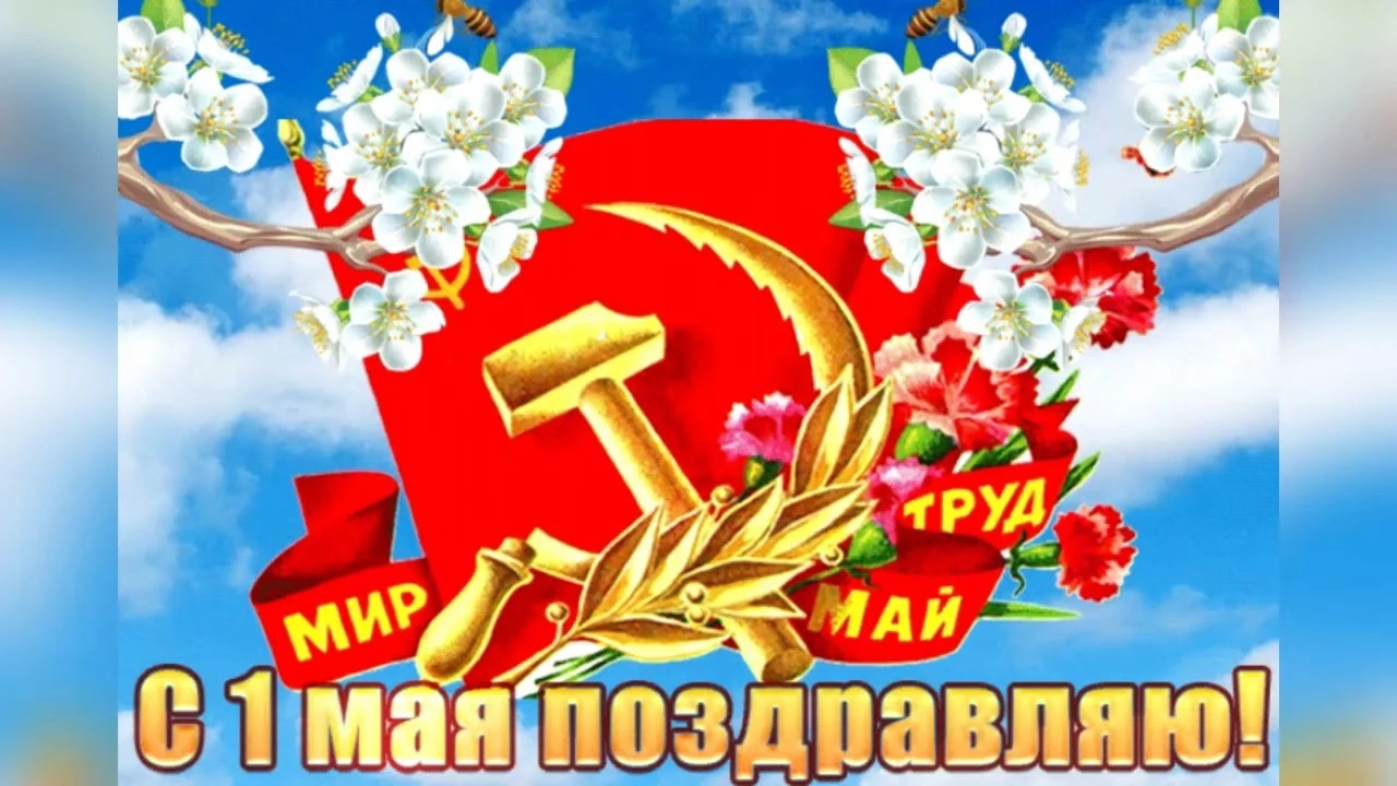 i7fcc7NOlBU.jpg