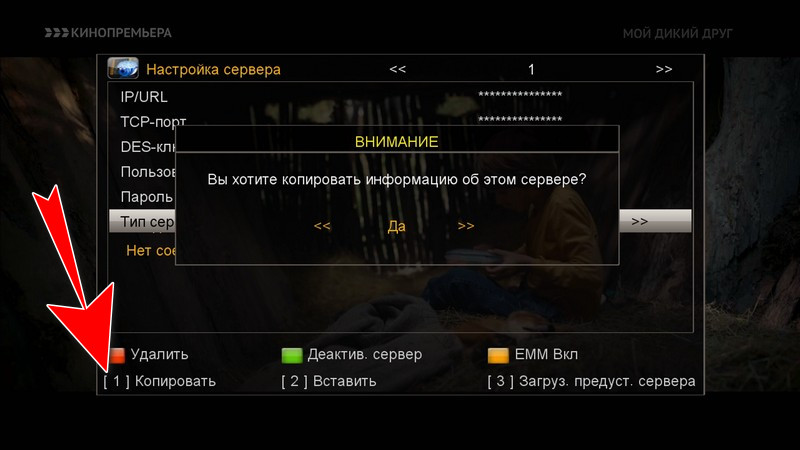 sh_srt3200_0006.JPG