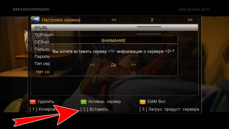 sh_srt3200_0007.JPG