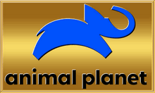 animalplanet.png