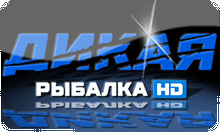 dikayaribalkahd.png